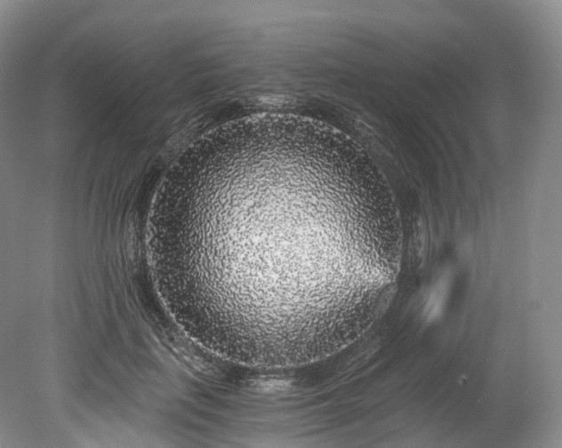 X0000078280651200611101135