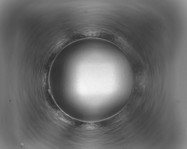 X0000078280652200611101135