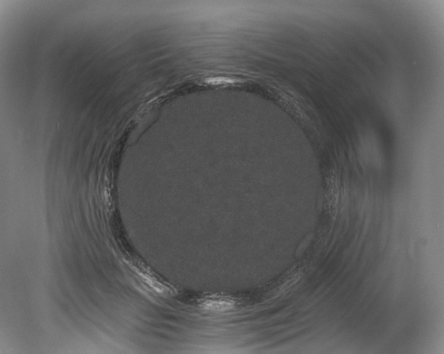 X0000078280653200611101135