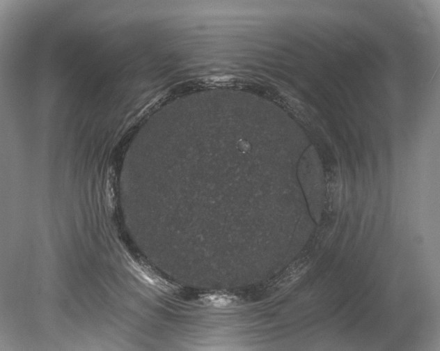 X0000078280654200611101135