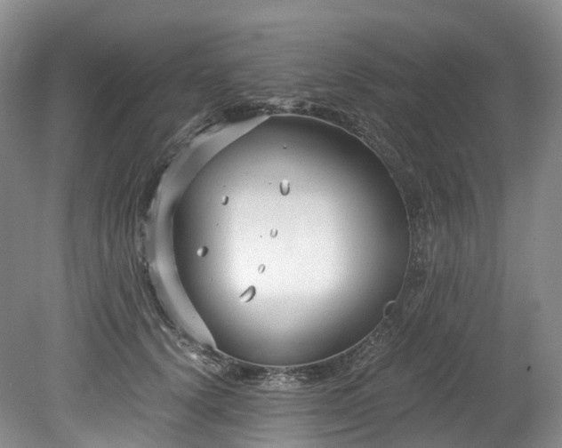 X0000078280656200611101135