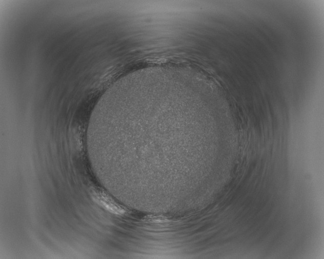 X0000078280658200611101135