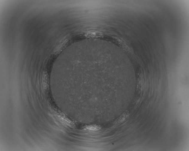 X0000078280659200611101135