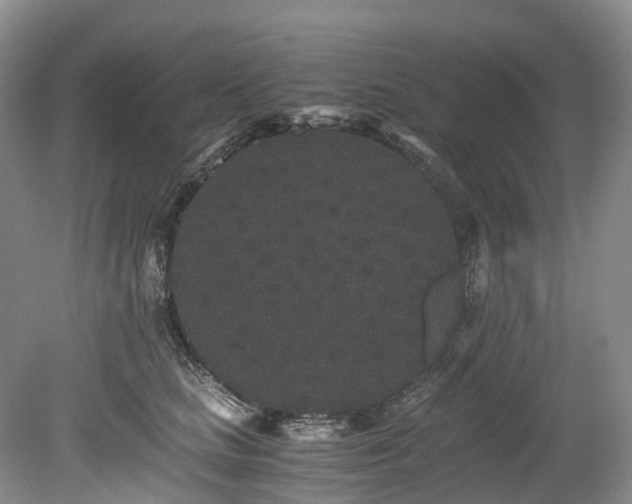 X0000078280661200611101135