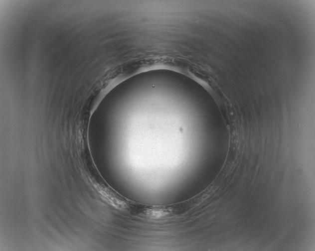 X0000078280662200611101135