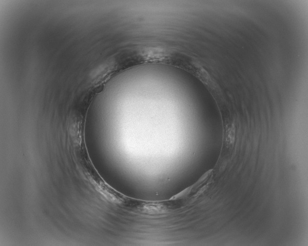 X0000078280666200611101135