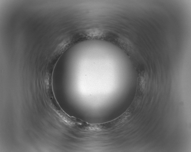 X0000078280668200611101135