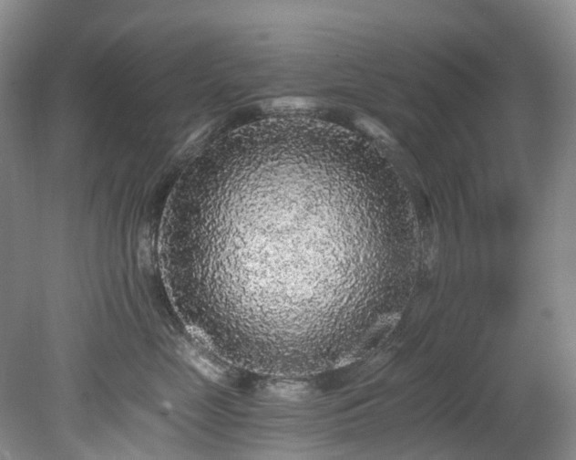 X0000078280669200611101135