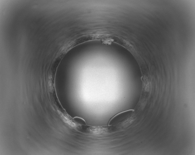 X0000078280670200611101135