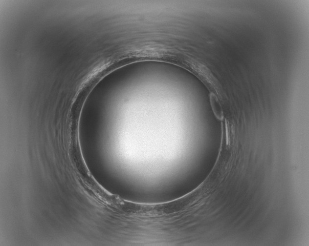 X0000078280675200611101134