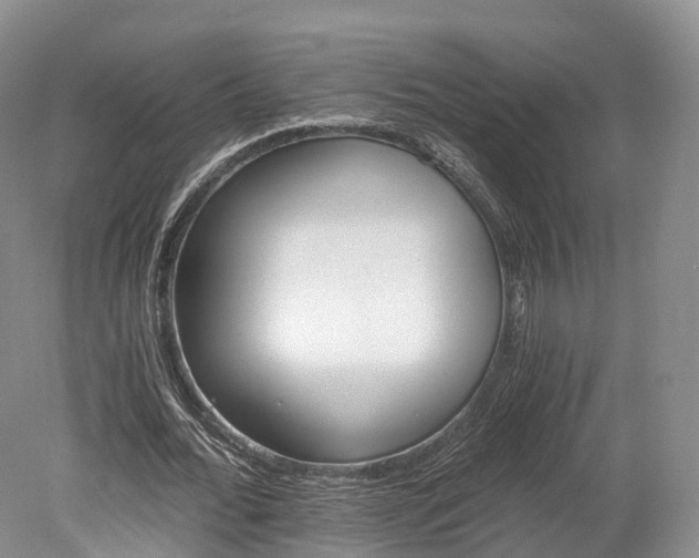 X0000078280676200611101134