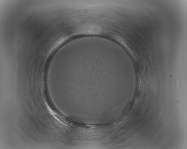 X0000078280677200611101134