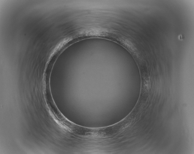 X0000078280678200611101134