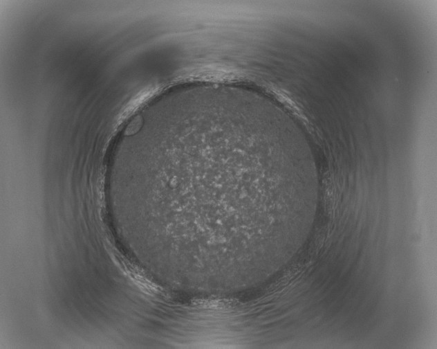 X0000078280679200611101134