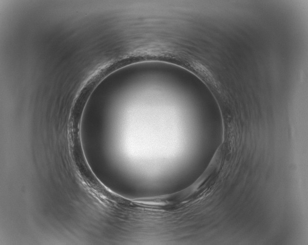 X0000078280680200611101134