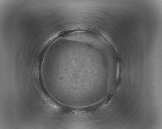 X0000078280681200611101134