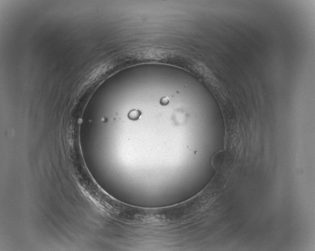 X0000078280683200611101134