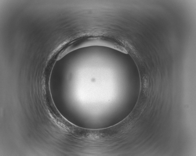 X0000078280684200611101134