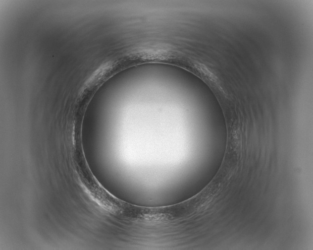 X0000078280686200611101134