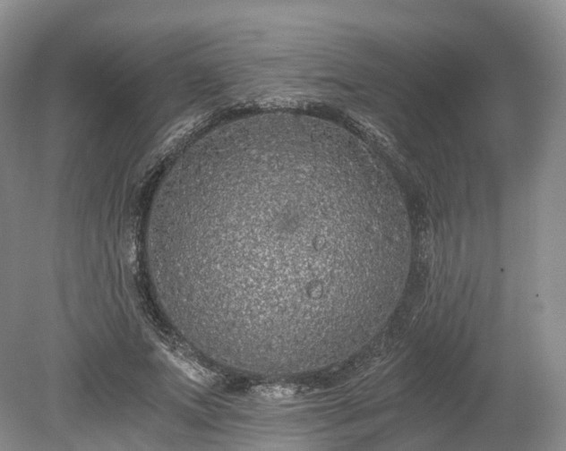 X0000078280687200611101134