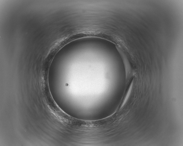 X0000078280688200611101134