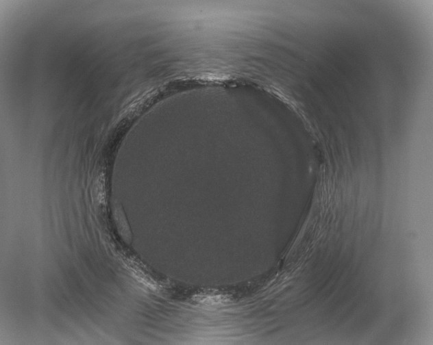 X0000078280689200611101134