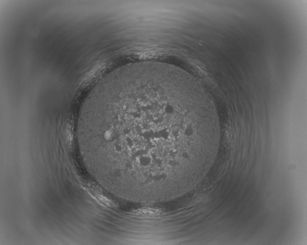 X0000078280691200611101134