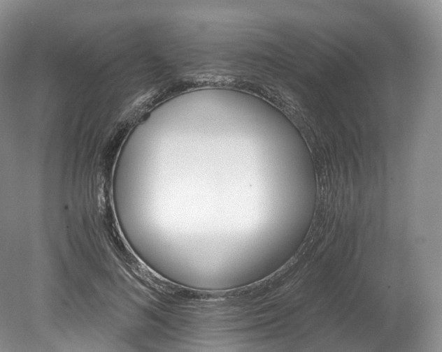 X0000078280692200611101134