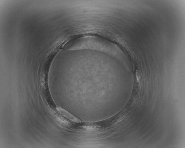 X0000078280693200611101134