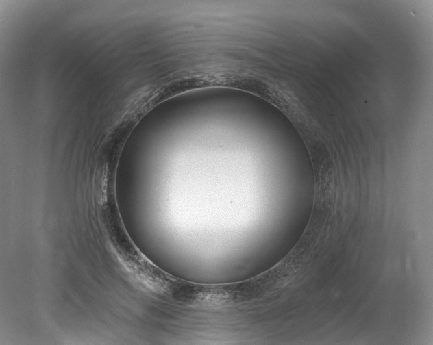 X0000078280694200611101134