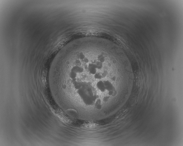 X0000078280695200611101134