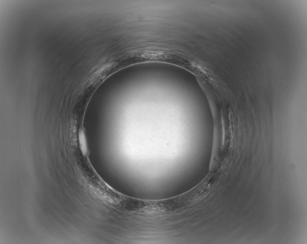 X0000078280696200611101134