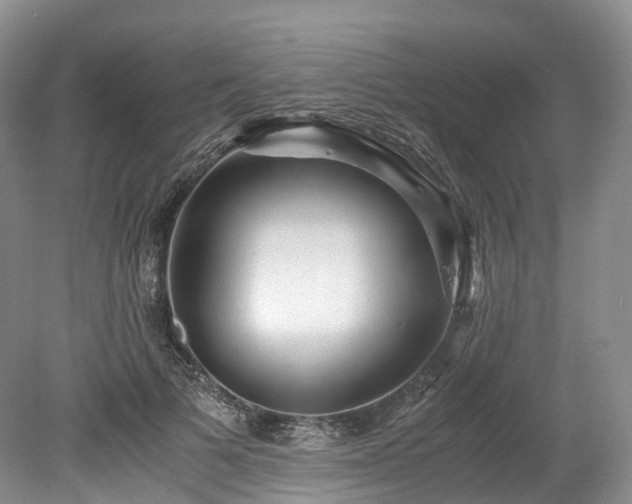 X0000078280697200611101134