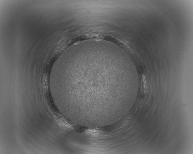 X0000078280699200611101134