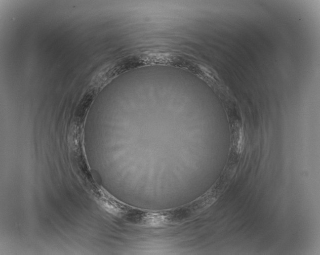 X0000078280701200611101134