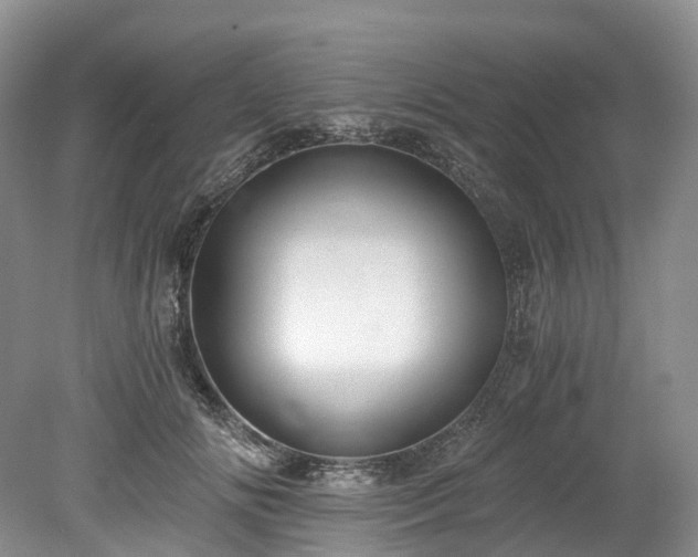 X0000078280702200611101134