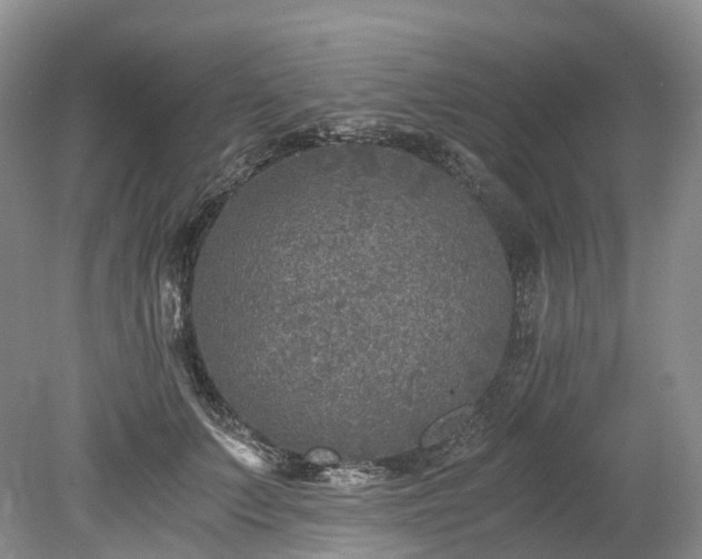 X0000078280703200611101134