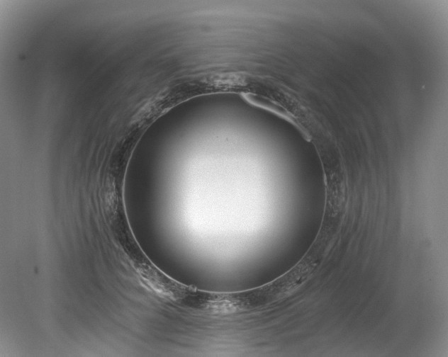 X0000078280704200611101134