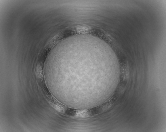 X0000078280705200611101134