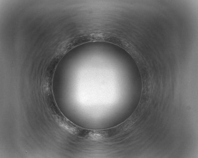 X0000078280706200611101134