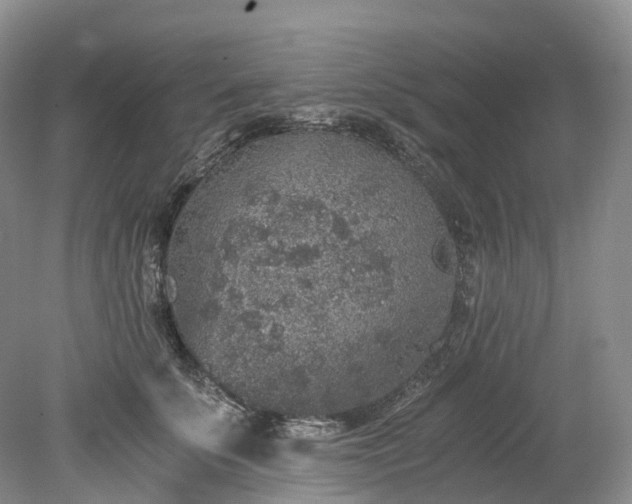 X0000078280707200611101134