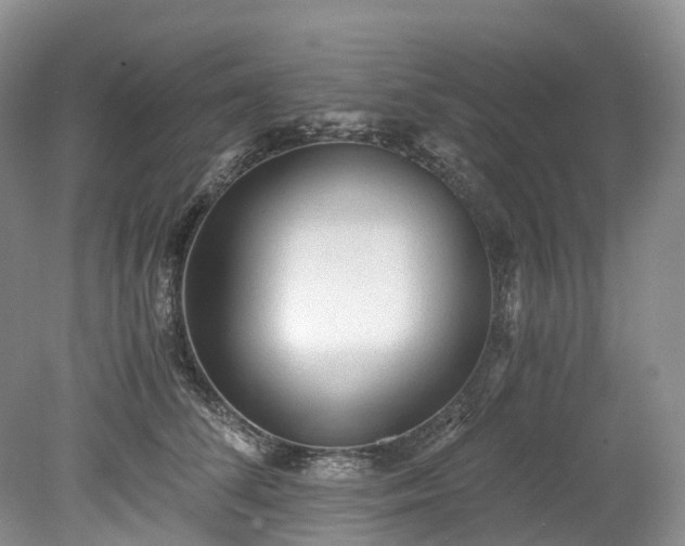 X0000078280708200611101134