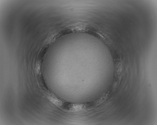 X0000078280709200611101134