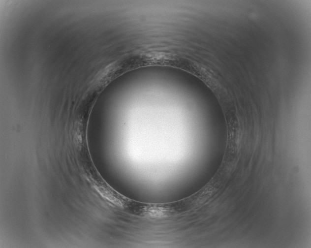 X0000078280710200611101134