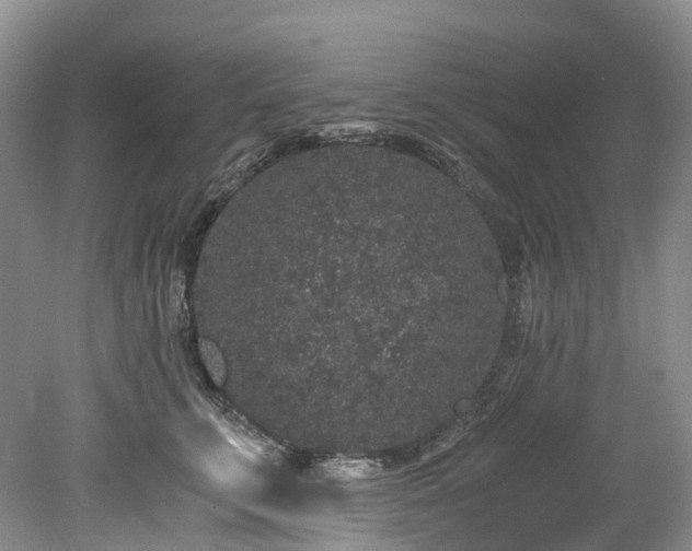 X0000078280711200611101133