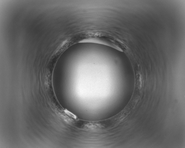 X0000078280712200611101133