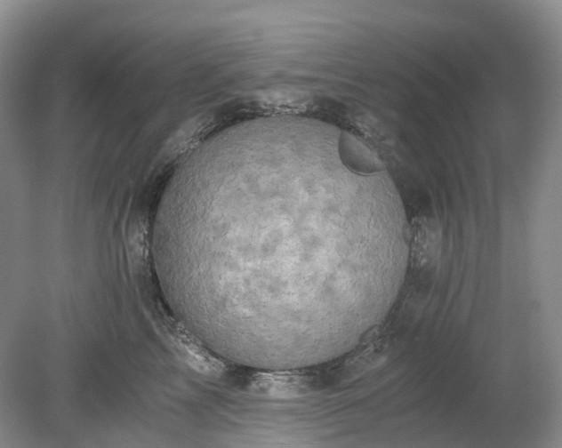 X0000078280713200611101133