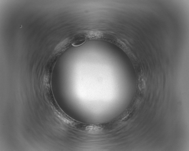 X0000078280714200611101133