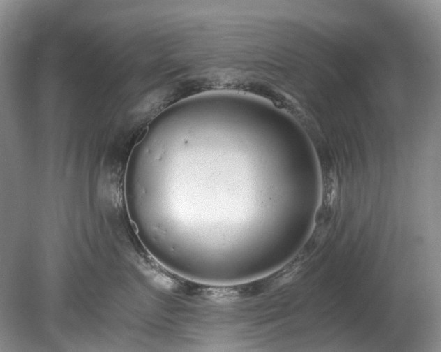 X0000078280719200611101133