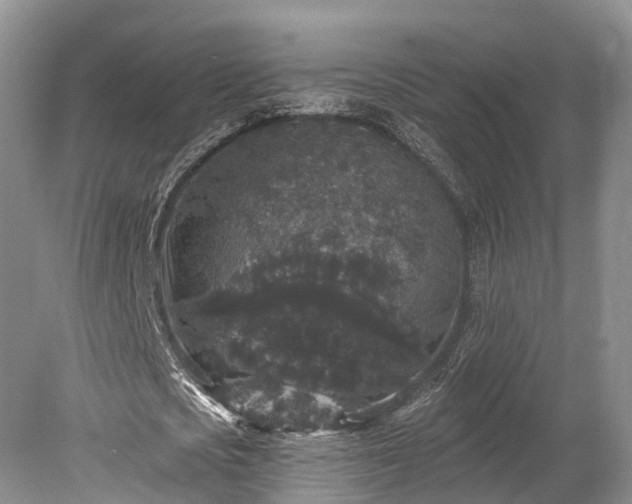 X0000078280721200611101133